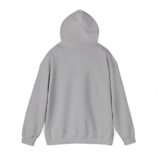 Unisex 2007 Heavy Blend™ Hoodie