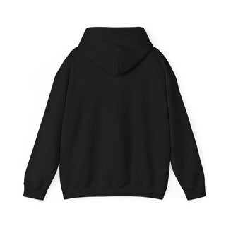 Unisex 2007 Heavy Blend™ Hoodie