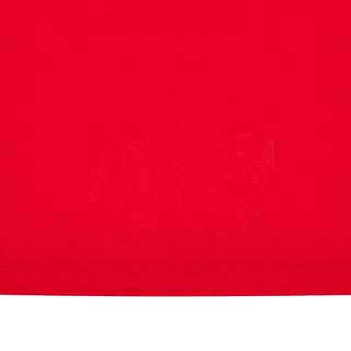 Macron Wales WRU 2024/25 Infants Six Nations Home Rugby Kit