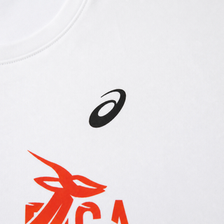 ASICS South Africa Springbok Adults World Champions T-Shirt