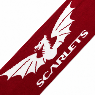 Castore Scarlets Rugby 2024/25 Knitted Scarf