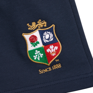 Nike British & Irish Lions 2027 Mens Training Shorts