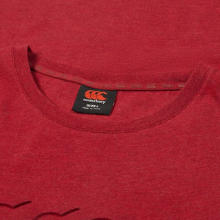 Canterbury British & Irish Lions 2025 Mens Monument Rugby Tee