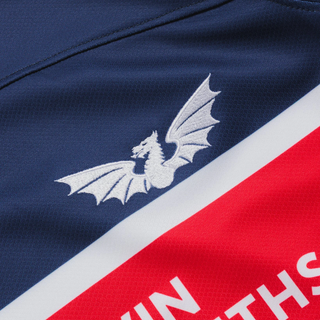 VX3 Scarlets 2026/27 Mens Away Rugby Shirt