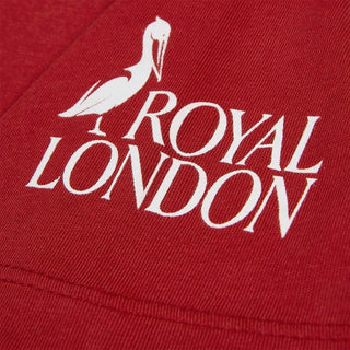 Nike British & Irish Lions 2027 Mens Evergreen T-Shirt